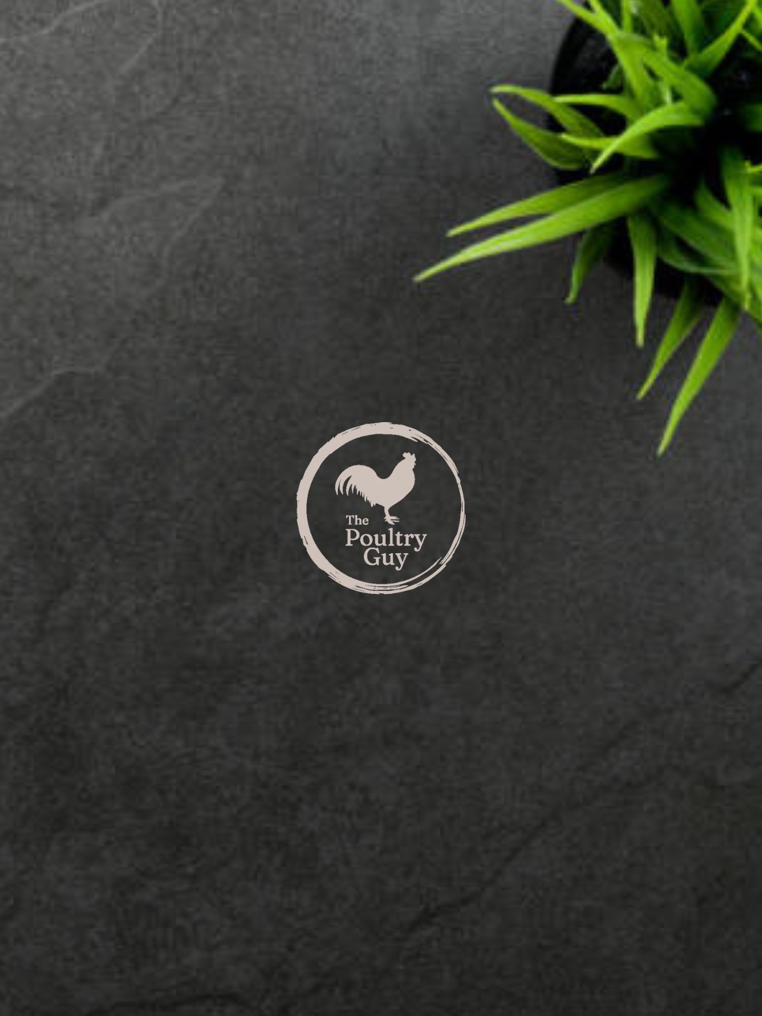 Poultry Guy
